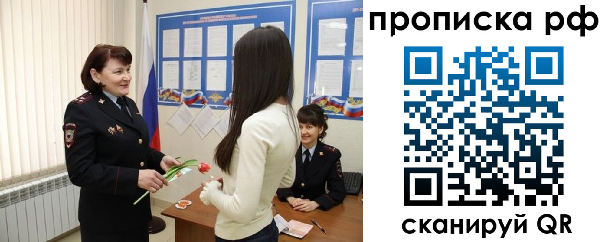 прописка поиск в Кохме